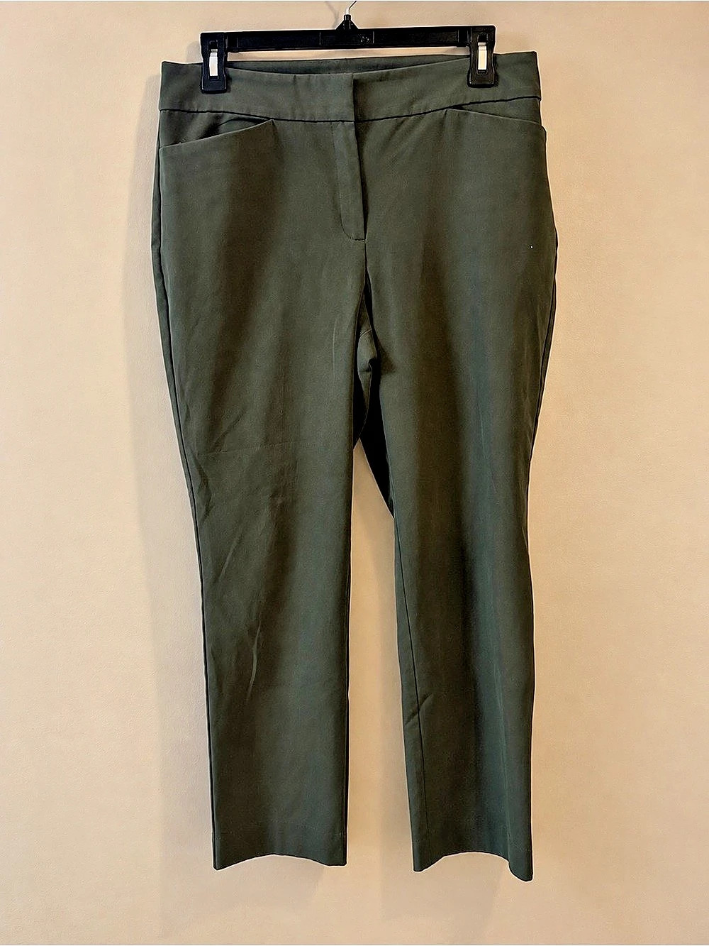Ann Taylor Factory Women's Straight Leg Pants in Green Size 14